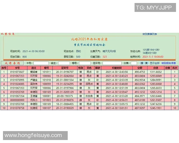重庆网球队以84分领跑冠军赛积分榜展现强劲实力