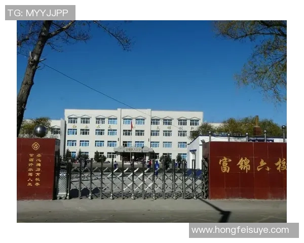 重生归来的足球明星们如何逆袭人生与赛场的精彩故事推荐